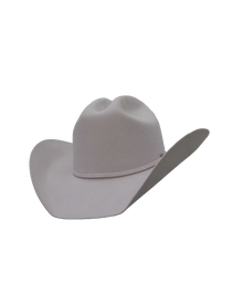 Dallas Cattleman in Silverbelly