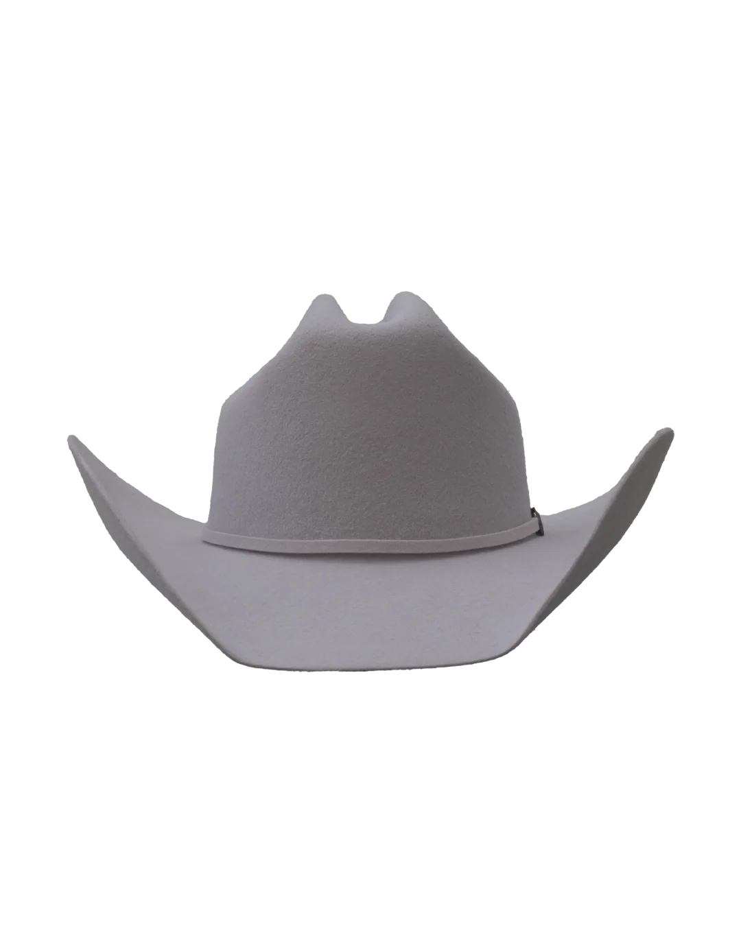 Dallas Cattleman in Silverbelly