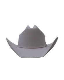 Dallas Cattleman in Silverbelly