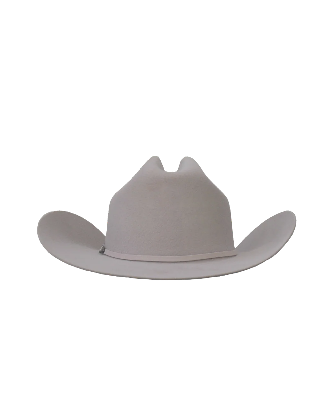 Dallas Cattleman in Silverbelly