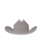 Dallas Cattleman in Silverbelly