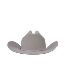 Dallas Cattleman in Silverbelly